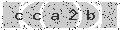 verify code