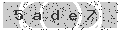 verify code