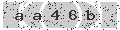 verify code