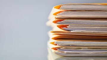 Are Your Workplace Policies Just Paper Tigers? 