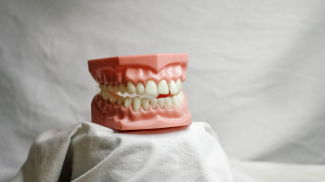 What Leaders Can Learn from the Intern Who Bit Her Colleagues 