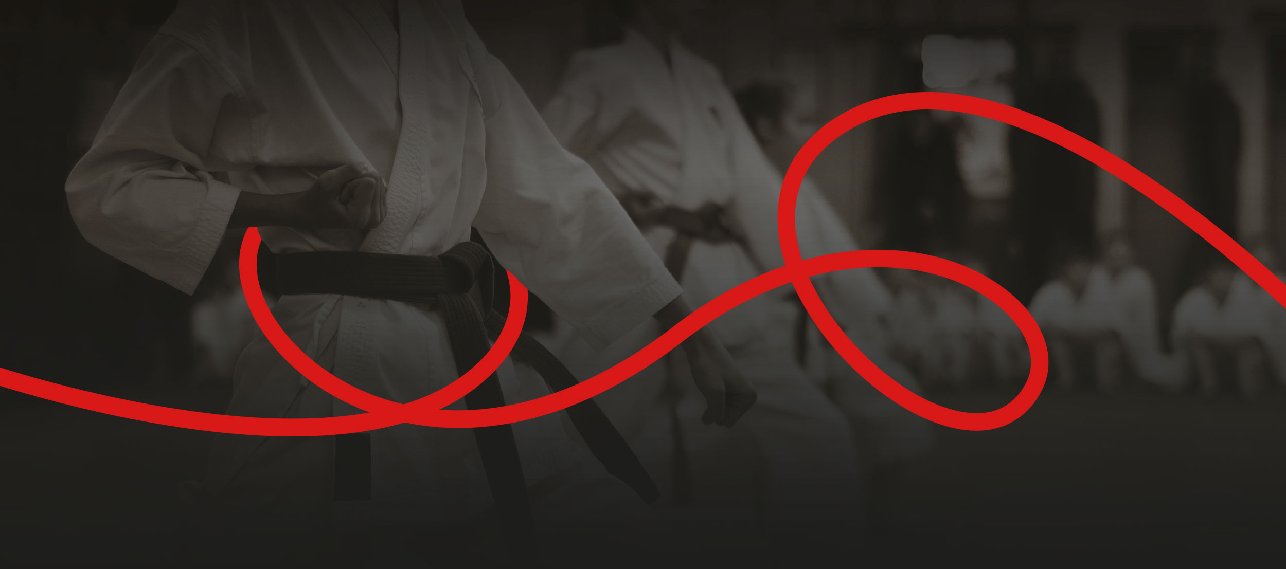 The Online Dojo - Corporate Dojo